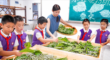 浙江安吉：桑蠶文化進校園
